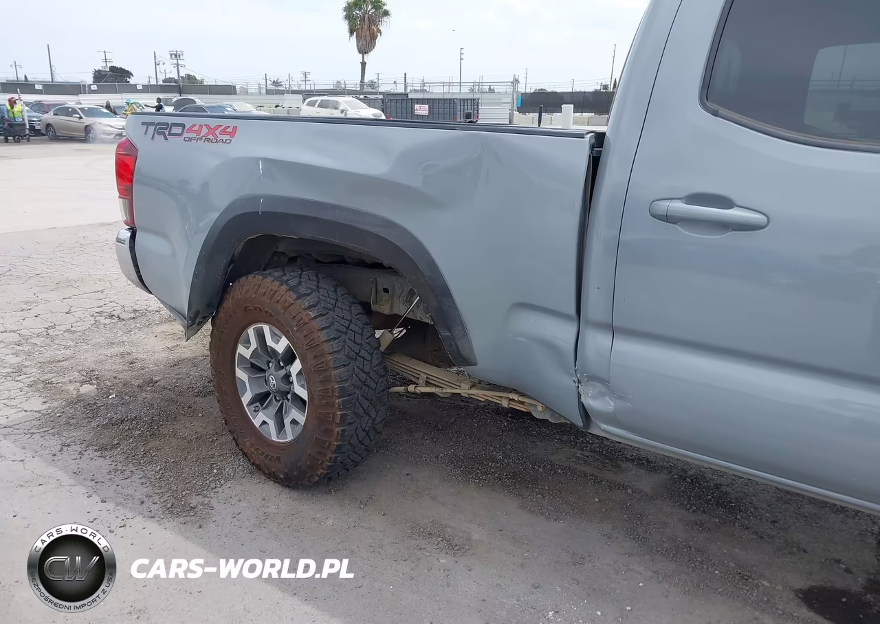 2020 Toyota Tacoma Double Cab-Sr5-Trd Sport-Trd Off Road VIN:3TMDZ5BN9LM094247 - 6