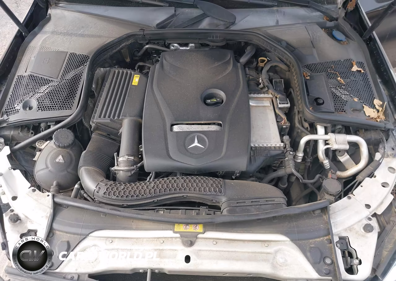 MERCEDES-BENZ C 300 VIN:55SWF4JB6JU246374 - 10