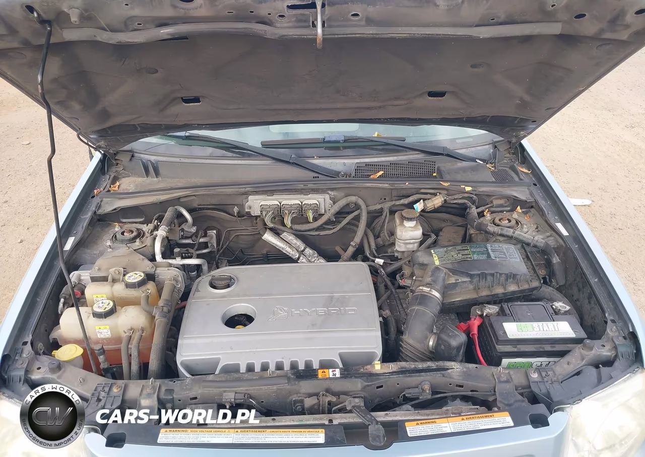 2009 Ford Escape Hybrid VIN:1FMCU49389KB96160 - 10