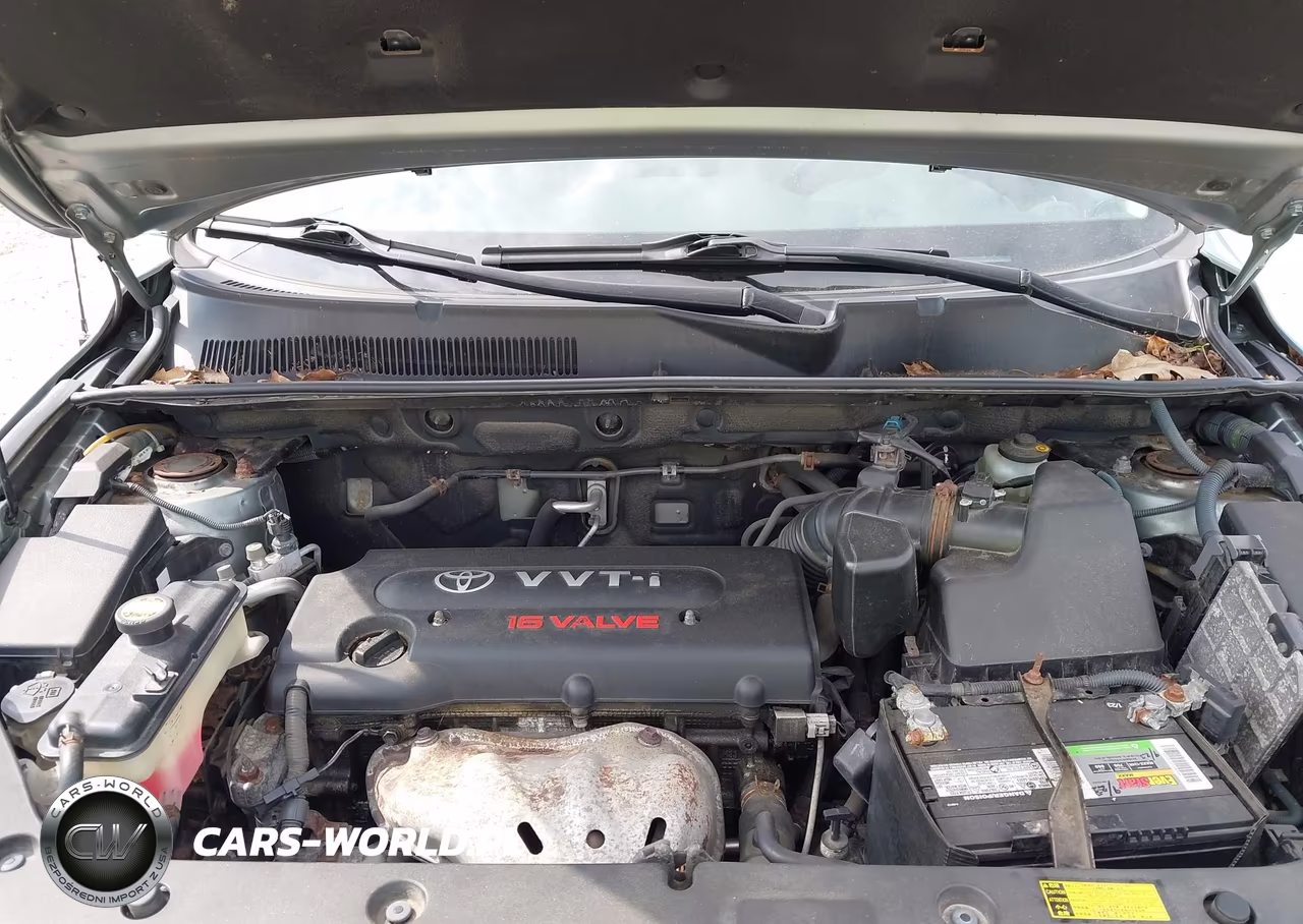 2006 Toyota Rav4 Limited VIN:JTMBD31V666019103 - 10
