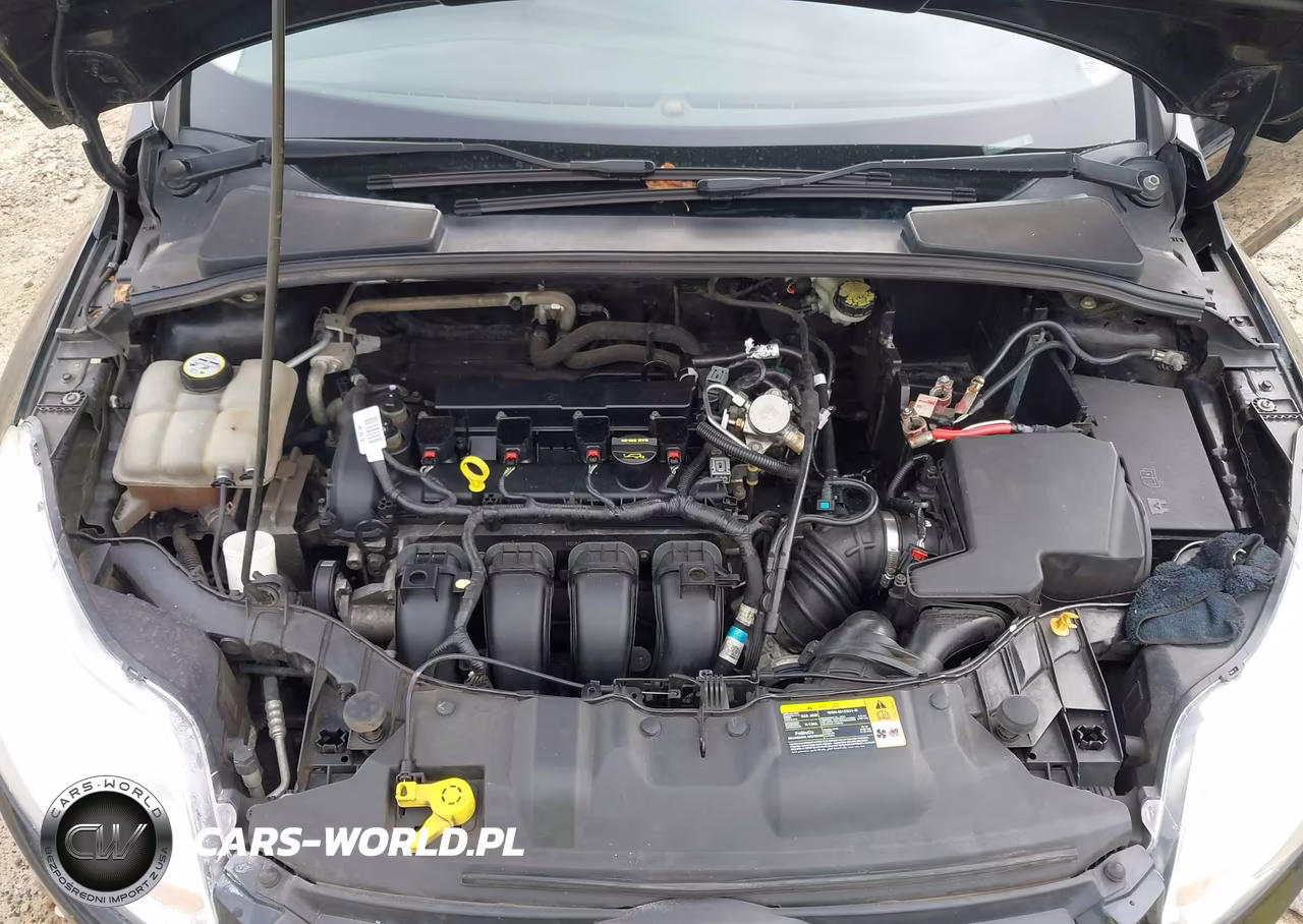 2013 Ford Focus Se VIN:1FADP3F28DL169975 - 10