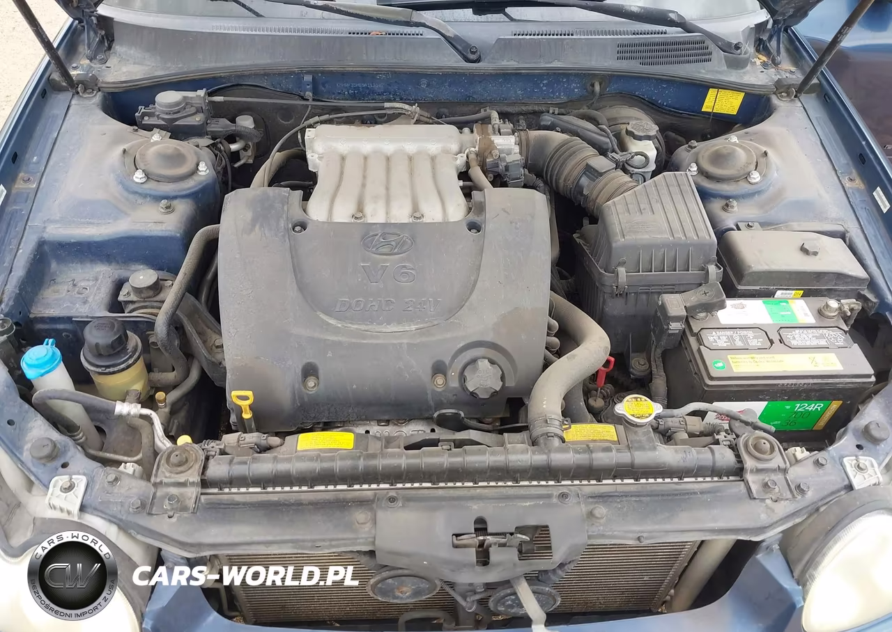 2005 Hyundai Sonata Gls-Lx VIN:KMHWF35H55A113142 - 10