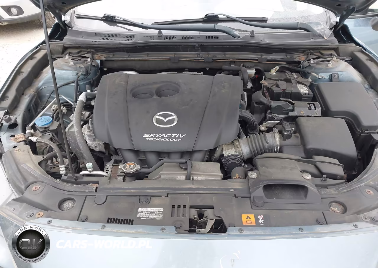 2014 Mazda Mazda3 I Sport VIN:JM1BM1U72E1145469 - 10