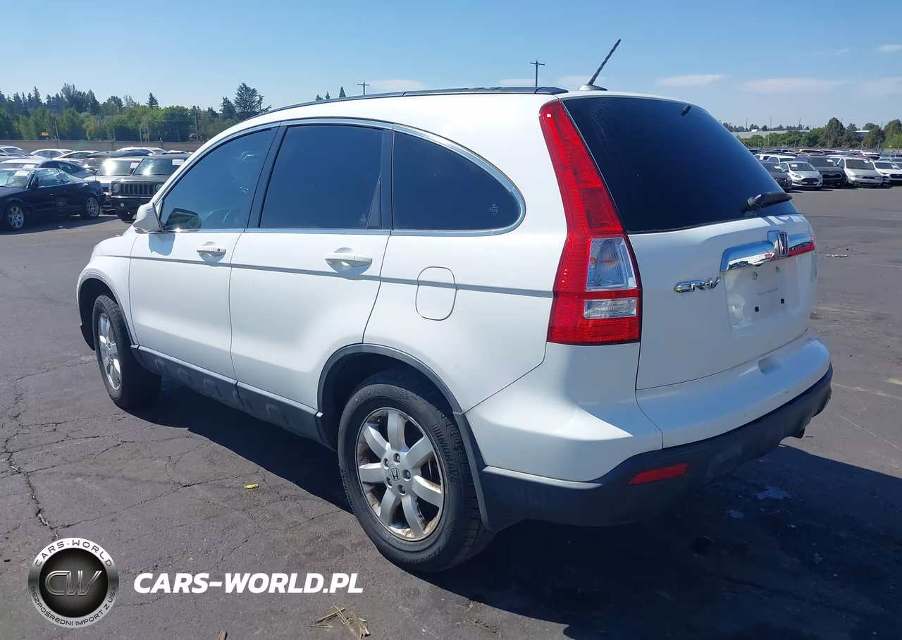 2008 Honda Cr-V Ex-L VIN:JHLRE48738C055945 - 3
