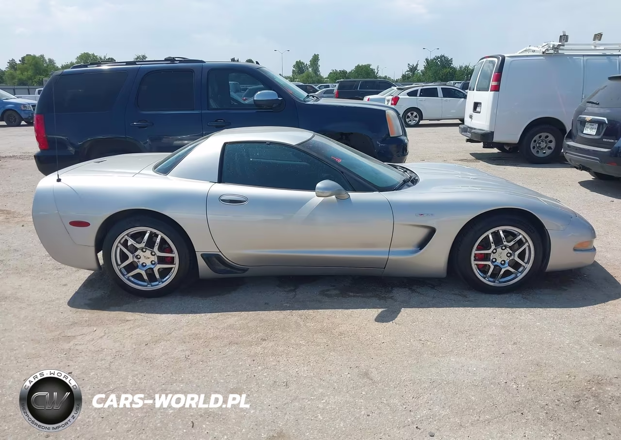 2004 Chevrolet Corvette Z06 Hardtop VIN:1G1YY12S045111441 - 13