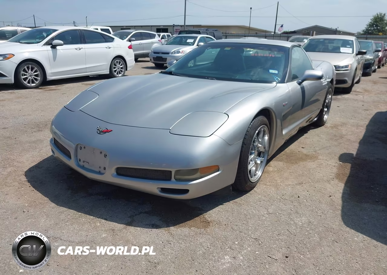2004 Chevrolet Corvette Z06 Hardtop VIN:1G1YY12S045111441 - 2