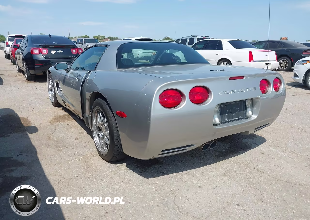 2004 Chevrolet Corvette Z06 Hardtop VIN:1G1YY12S045111441 - 3