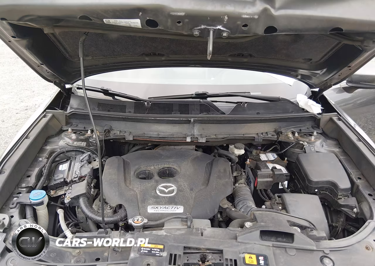 2018 Mazda Cx-9 Touring VIN:JM3TCBCY9J0210526 - 10