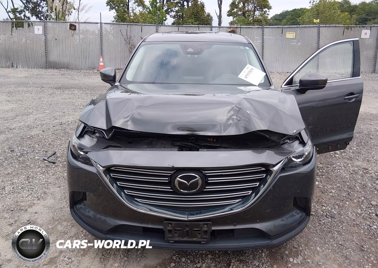 2018 Mazda Cx-9 Touring VIN:JM3TCBCY9J0210526 - 6