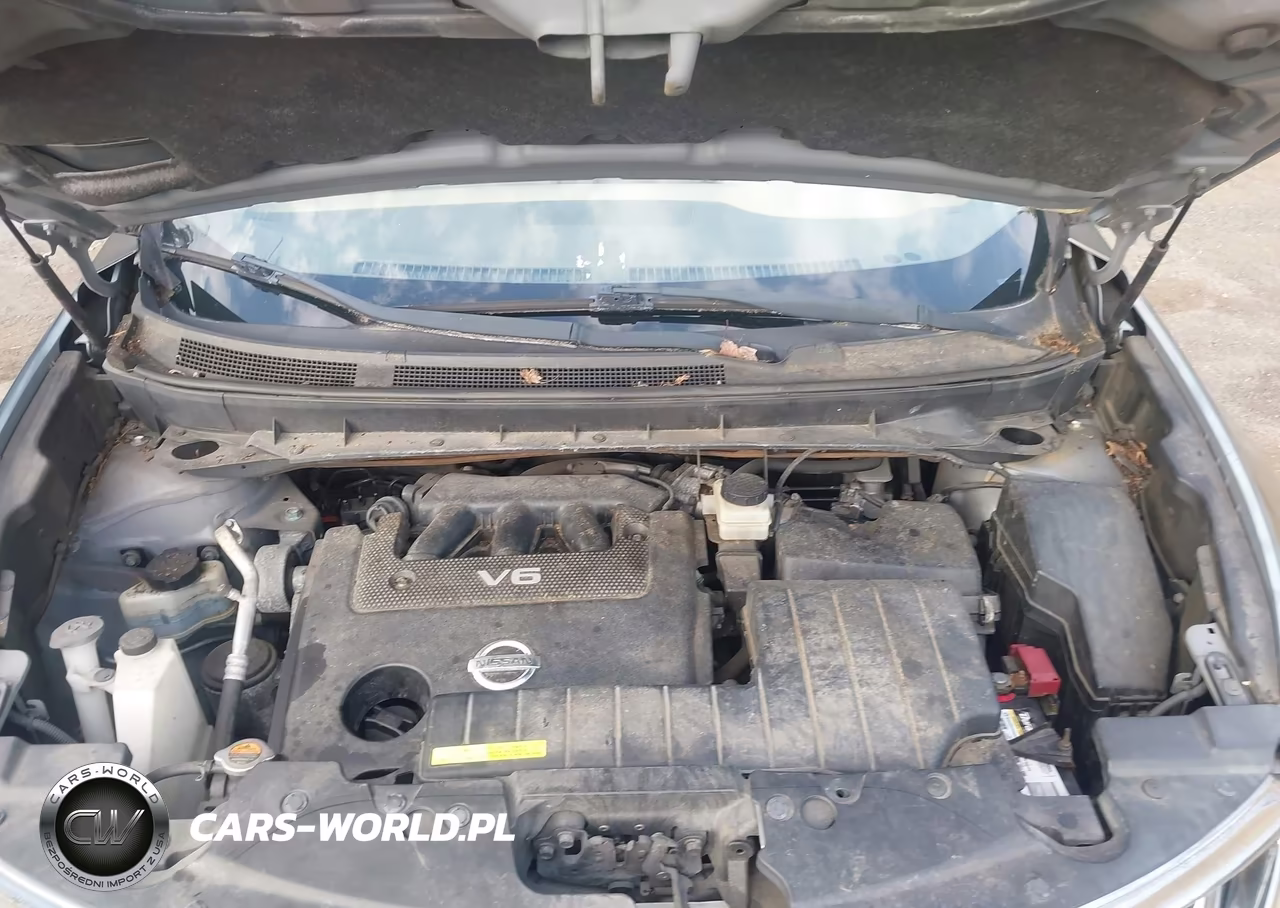 2010 Nissan Murano Sl VIN:JN8AZ1MW0AW136890 - 10