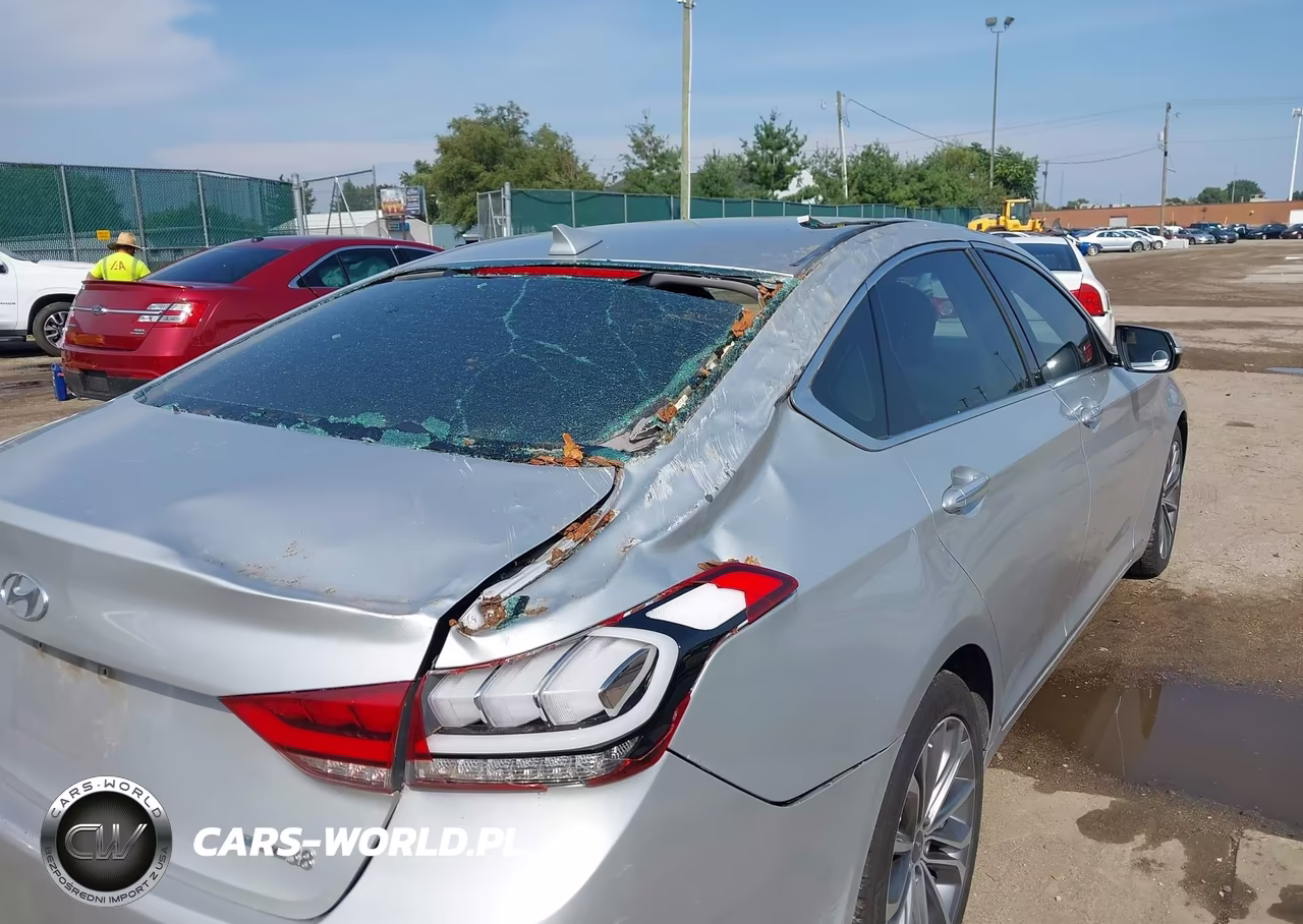 2015 Hyundai Genesis 3.8 Premium VIN:KMHGN4JE6FU025421 - 6