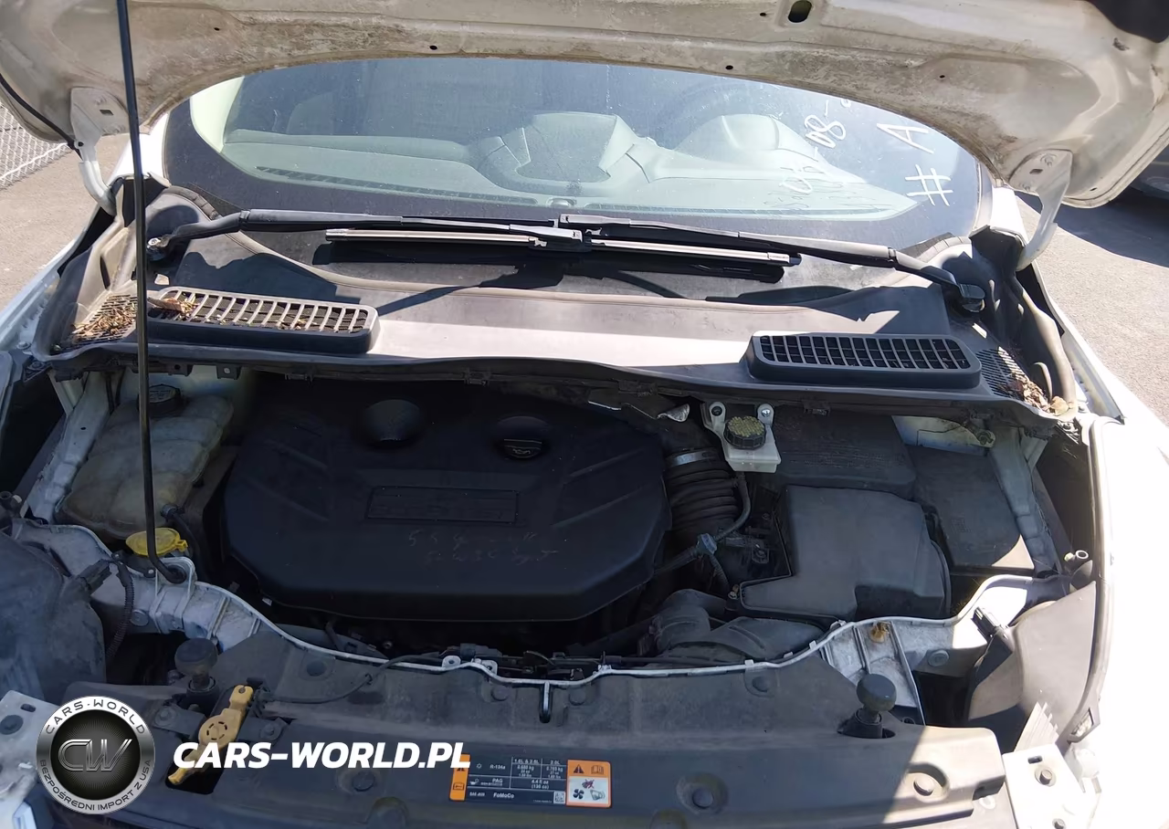 2013 Ford Escape Sel VIN:1FMCU0H91DUA38061 - 10