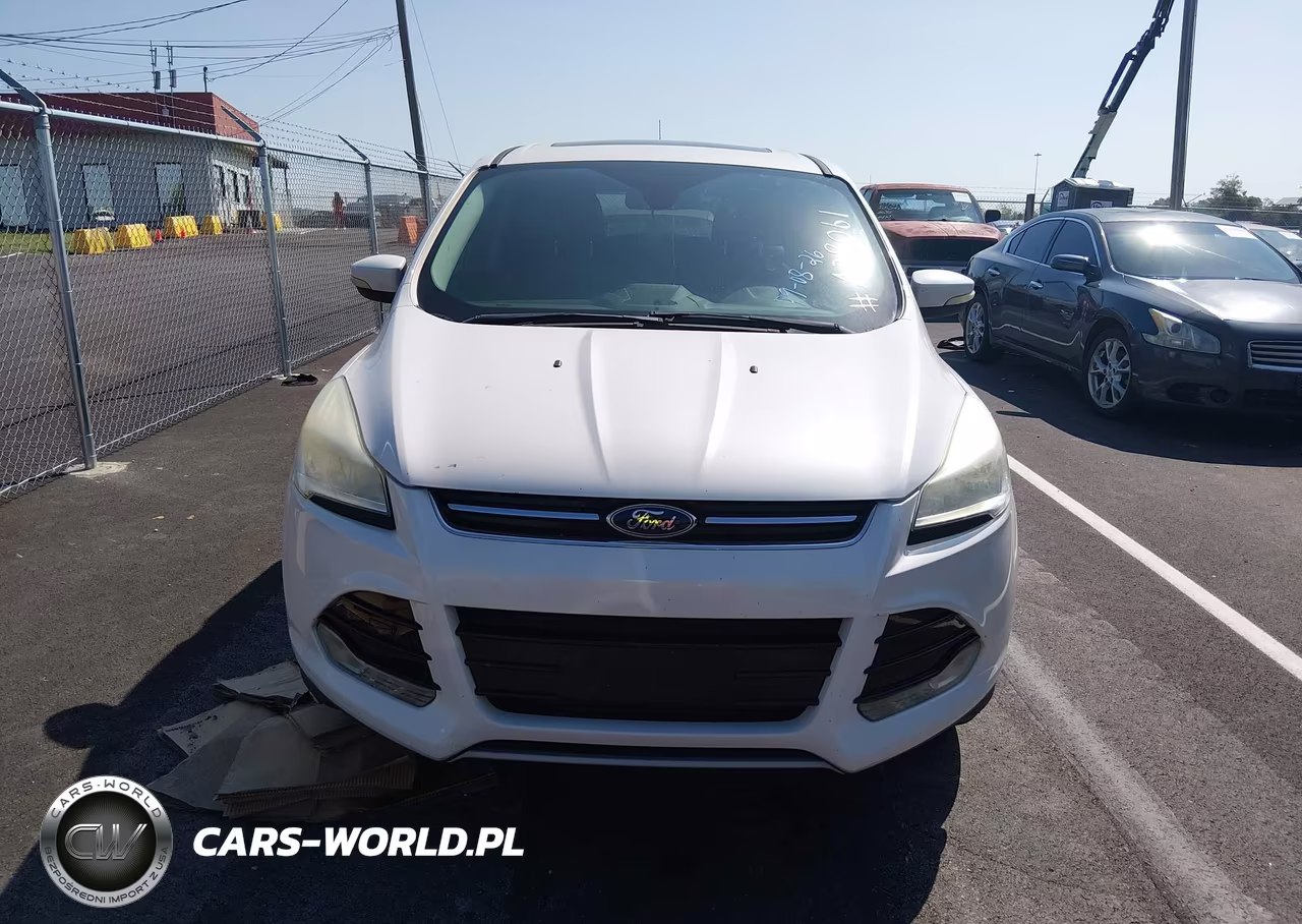 2013 Ford Escape Sel VIN:1FMCU0H91DUA38061 - 12