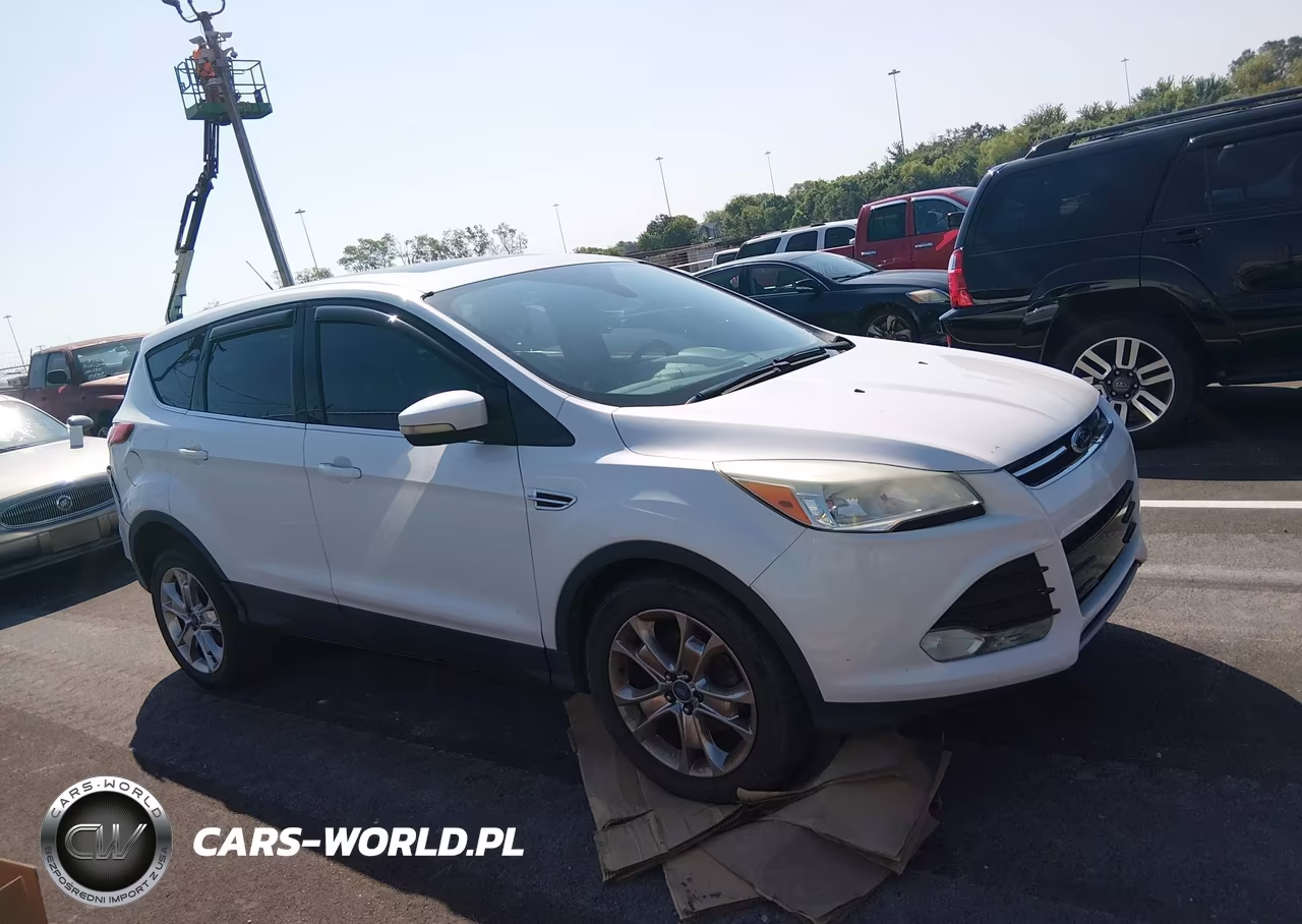 2013 Ford Escape Sel VIN:1FMCU0H91DUA38061 - 13
