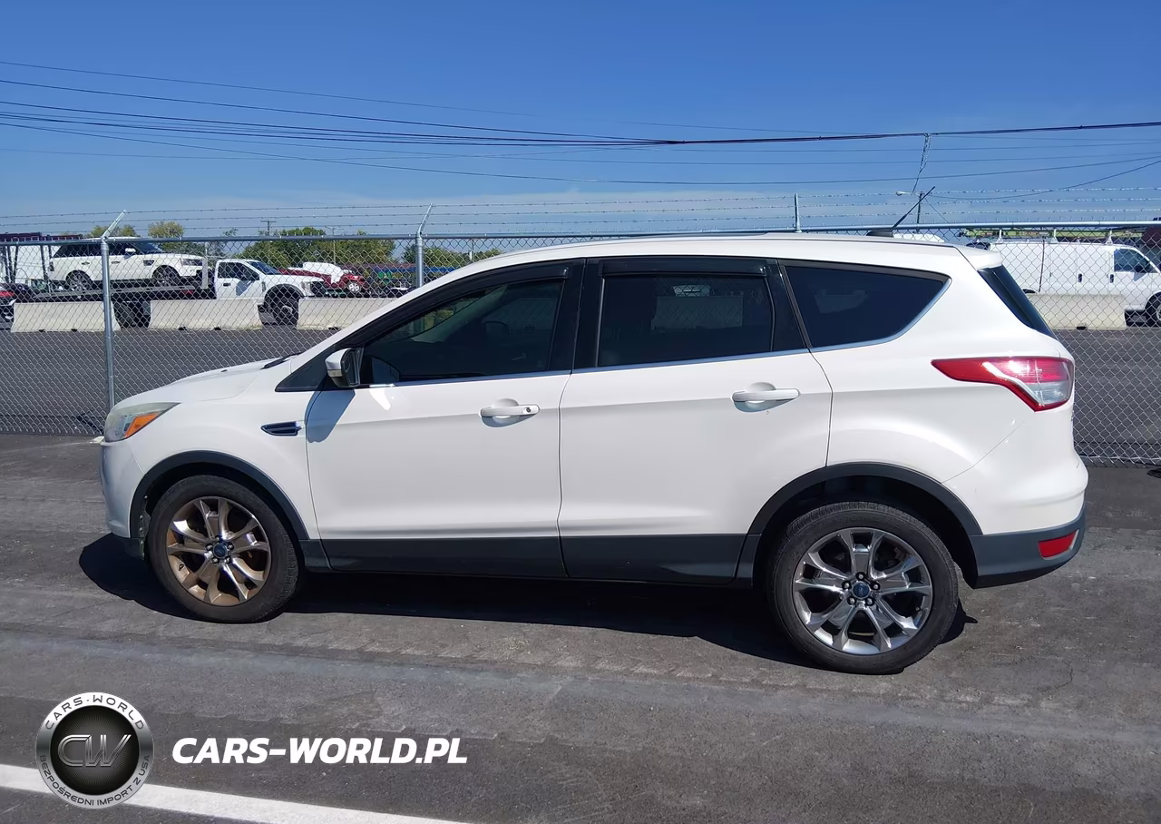 2013 Ford Escape Sel VIN:1FMCU0H91DUA38061 - 14
