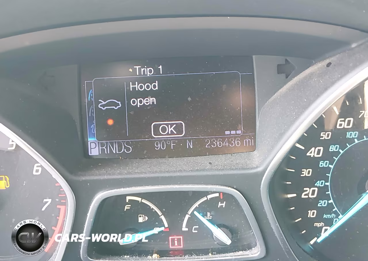 2013 Ford Escape Sel VIN:1FMCU0H91DUA38061 - 15