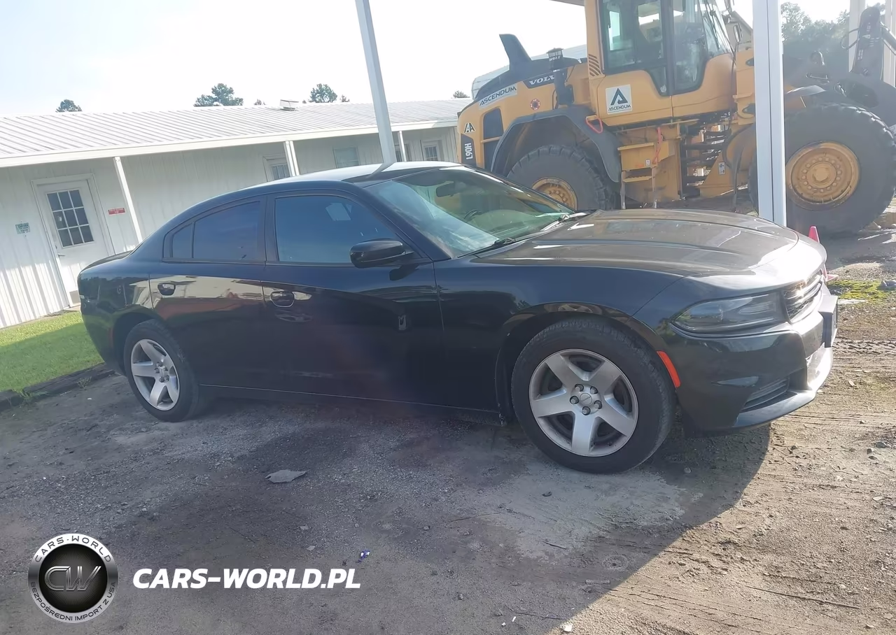 2019 Dodge Charger Police Rwd VIN:2C3CDXAG2KH739170 - 18