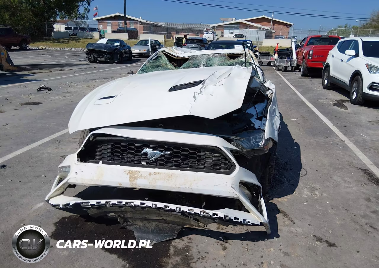 2021 Ford Mustang Ecoboost Fastback VIN:1FA6P8TH2M5145027 - 11