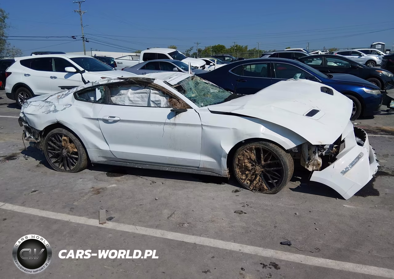 2021 Ford Mustang Ecoboost Fastback VIN:1FA6P8TH2M5145027 - 12