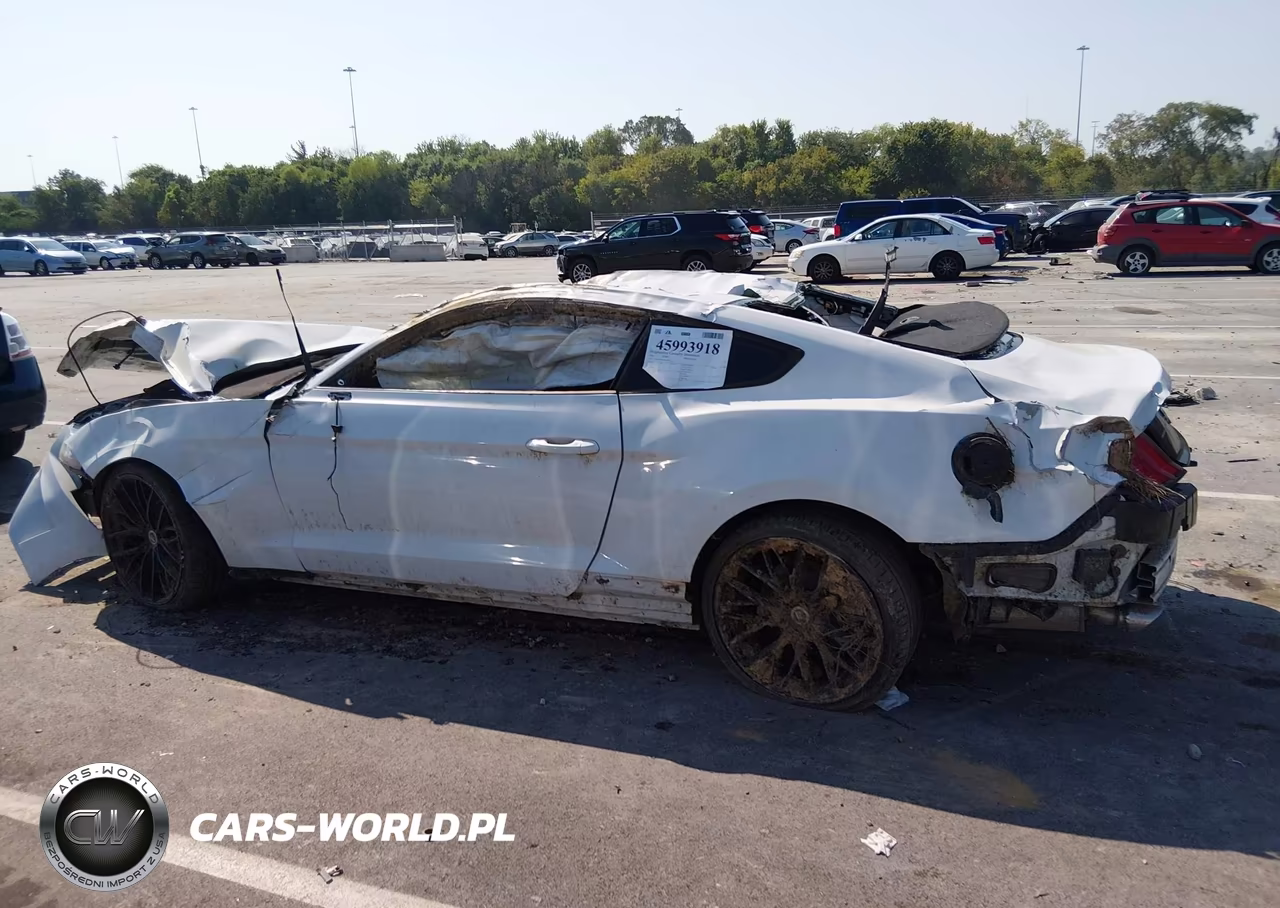 2021 Ford Mustang Ecoboost Fastback VIN:1FA6P8TH2M5145027 - 13