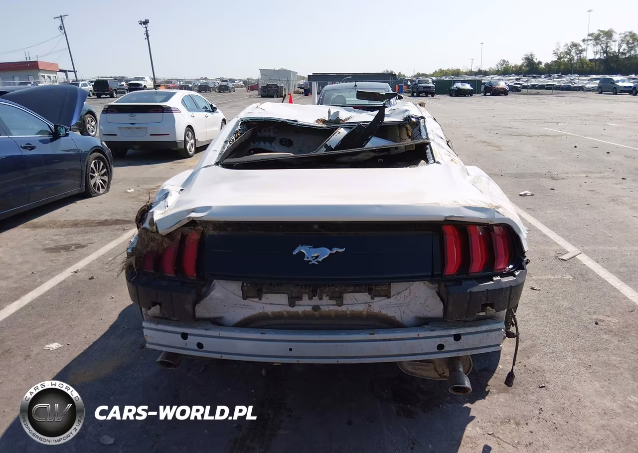 2021 Ford Mustang Ecoboost Fastback VIN:1FA6P8TH2M5145027 - 15