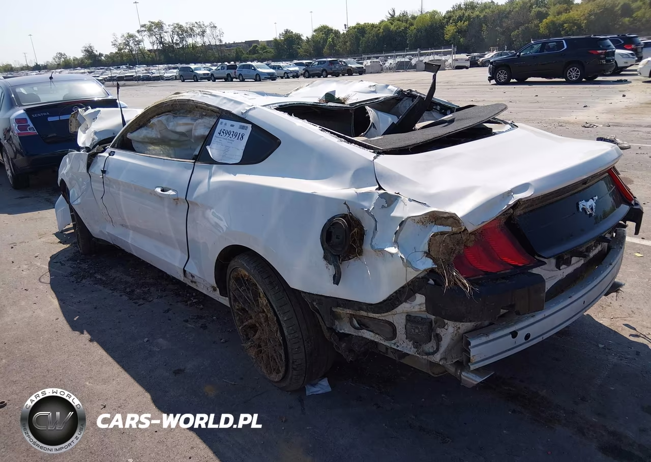 2021 Ford Mustang Ecoboost Fastback VIN:1FA6P8TH2M5145027 - 3