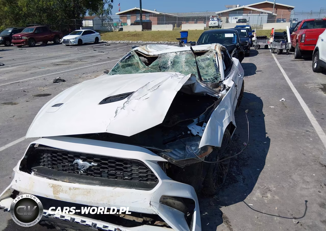 2021 Ford Mustang Ecoboost Fastback VIN:1FA6P8TH2M5145027 - 6