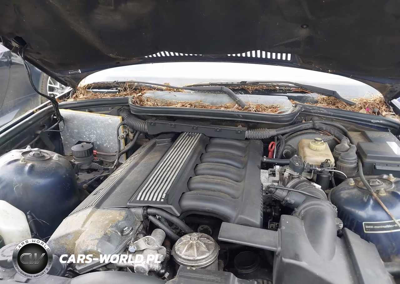 1995 BMW 325 Ic Automatic VIN:WBABJ6324SJD39119 - 10