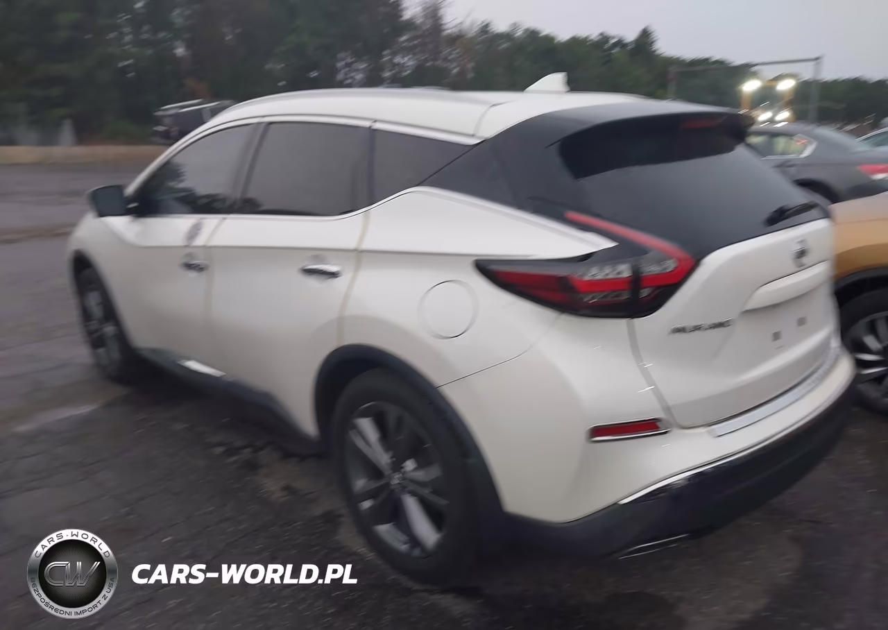 2019 Nissan Murano Platinum VIN:5N1AZ2MJ4KN115565 - 3