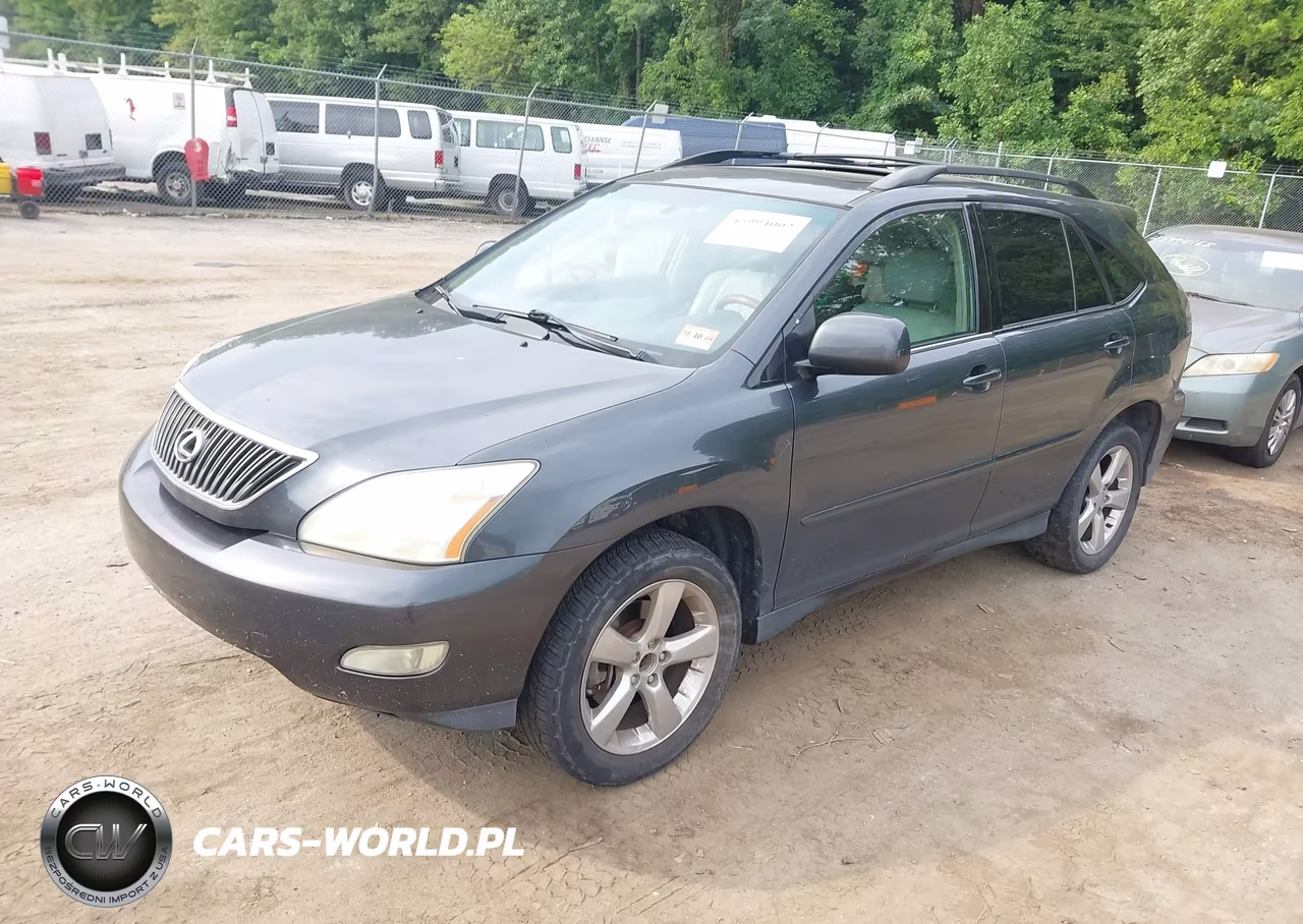 2004 Lexus Rx 330 VIN:JTJGA31U840014343 - 2