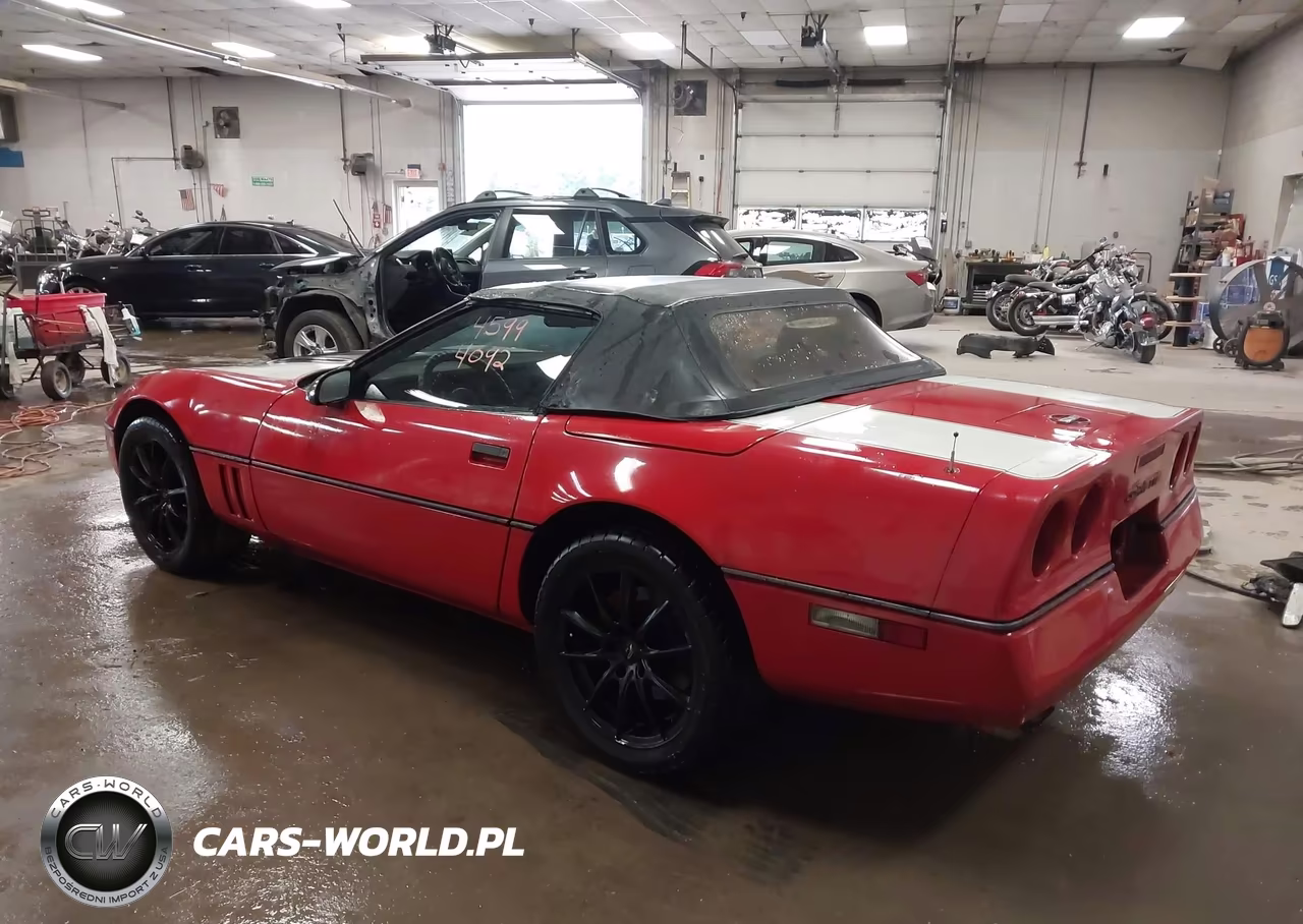 1988 Chevrolet Corvette VIN:1G1YY3185J5120505 - 3