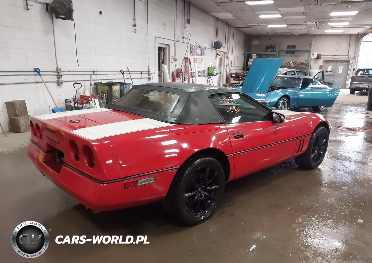 1988 Chevrolet Corvette VIN:1G1YY3185J5120505 - 4