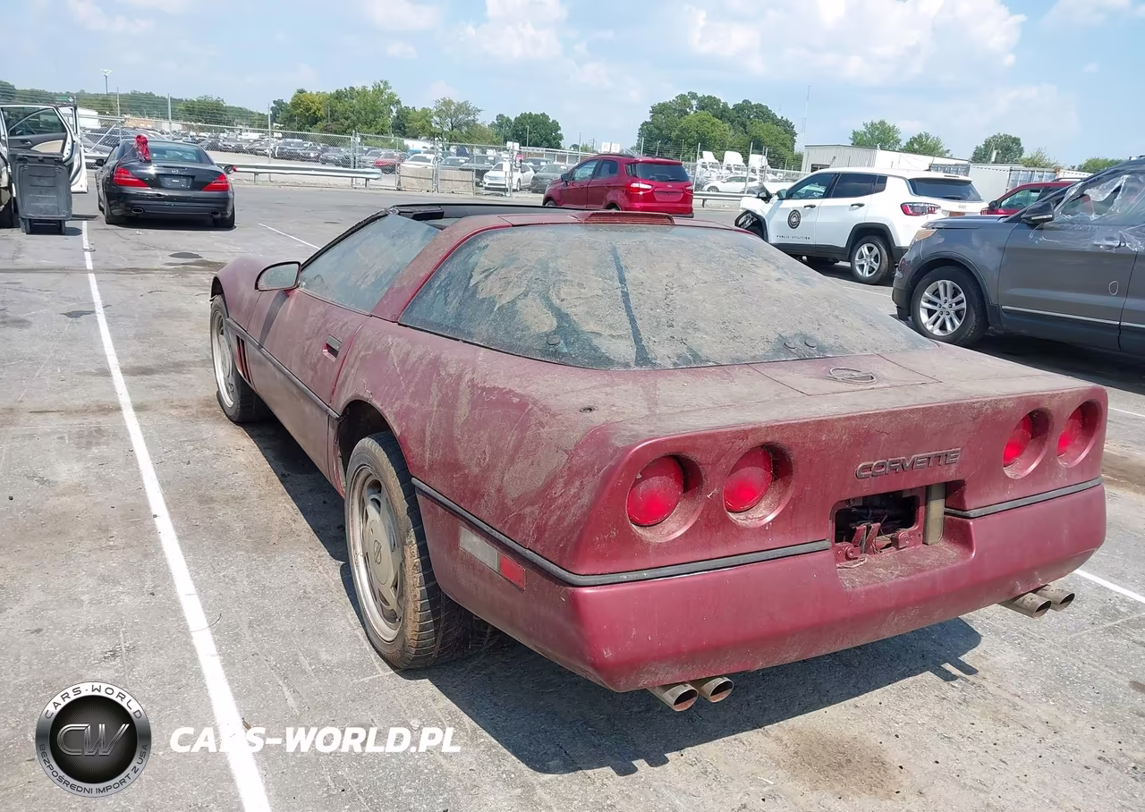 1989 Chevrolet Corvette VIN:1G1YY2181K5124644 - 3