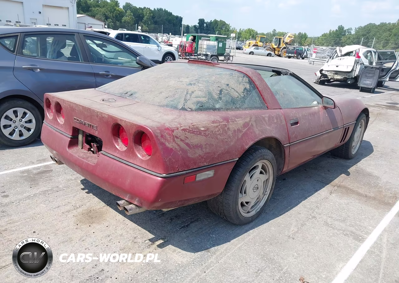 1989 Chevrolet Corvette VIN:1G1YY2181K5124644 - 4