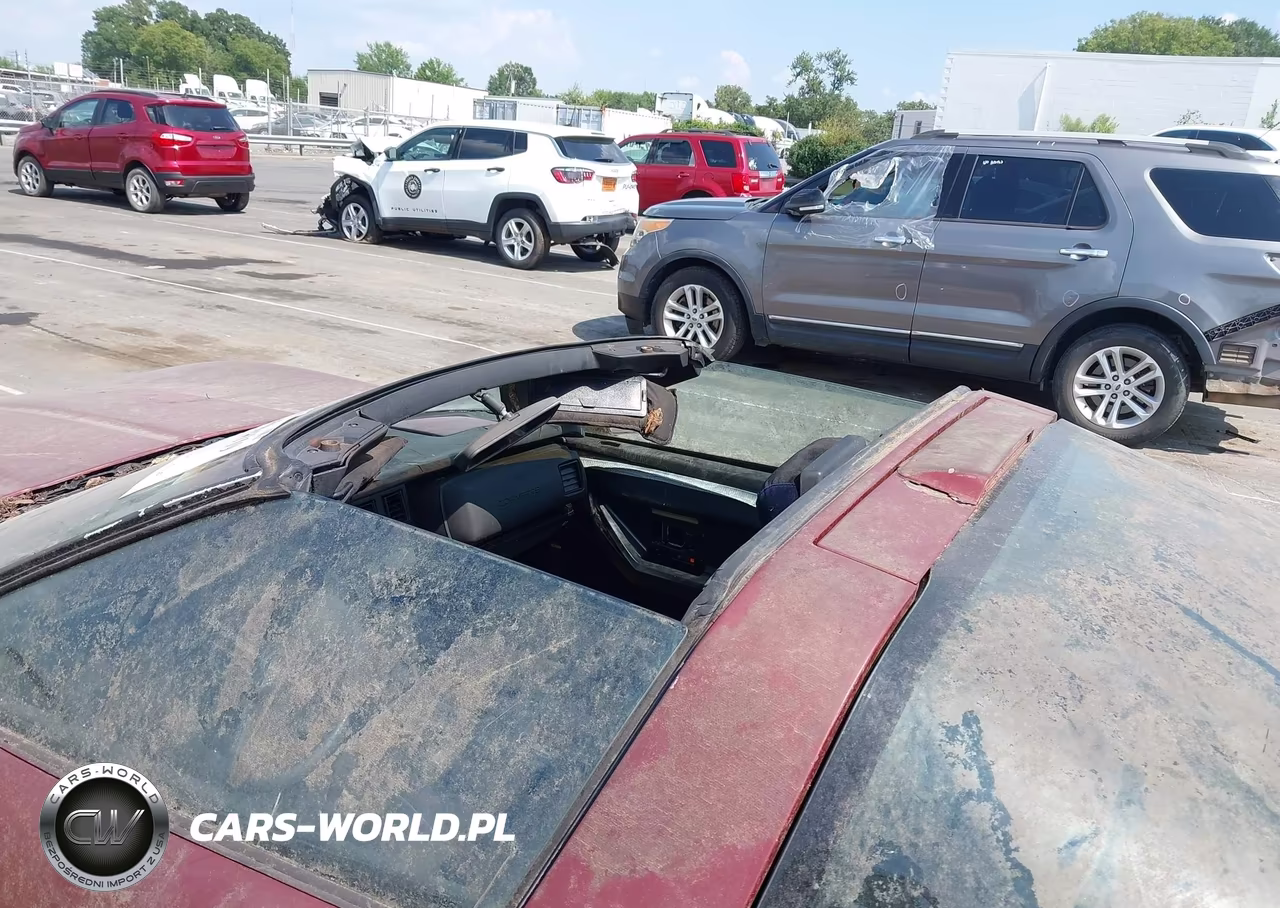 1989 Chevrolet Corvette VIN:1G1YY2181K5124644 - 6