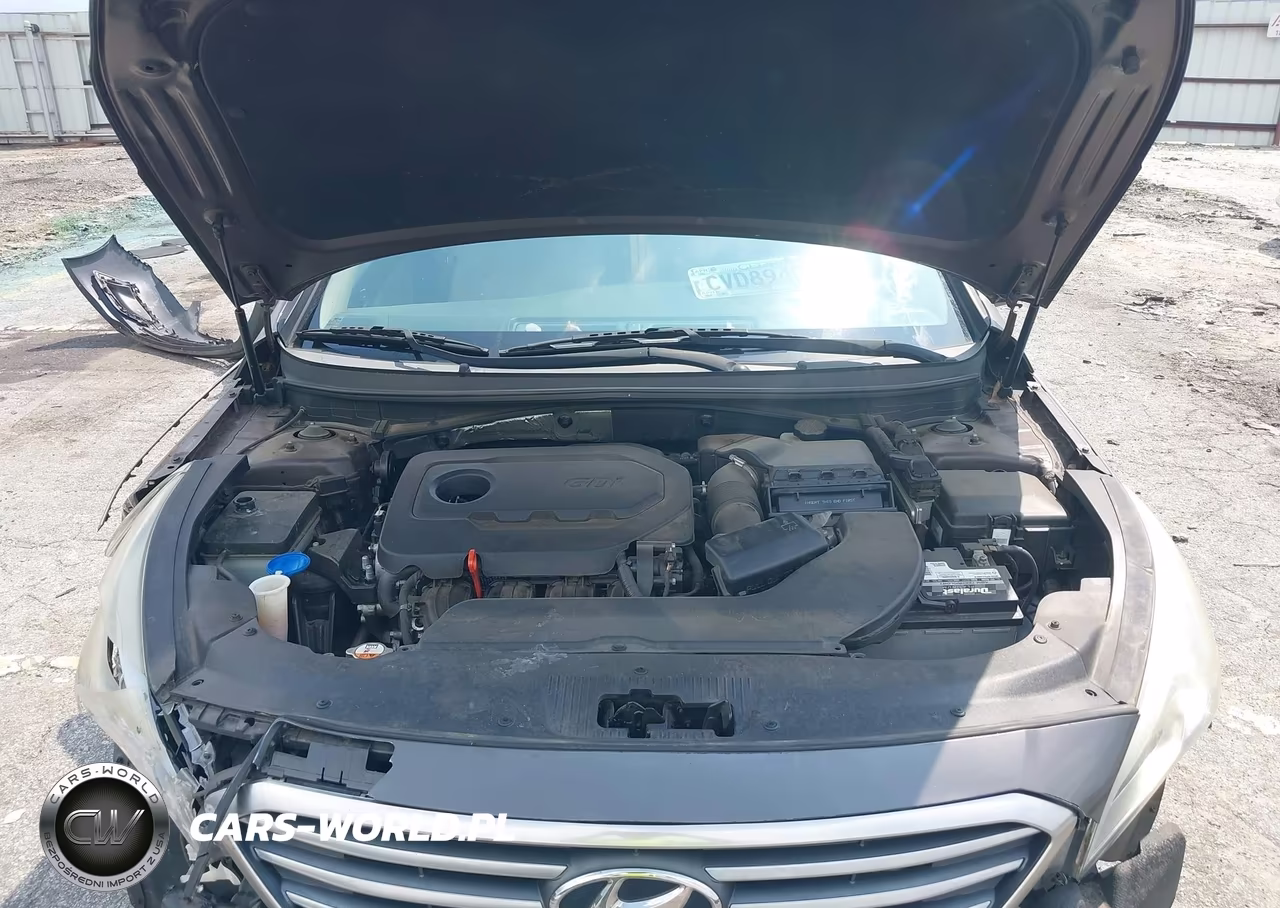 2016 Hyundai Sonata Se VIN:5NPE24AF9GH326905 - 10