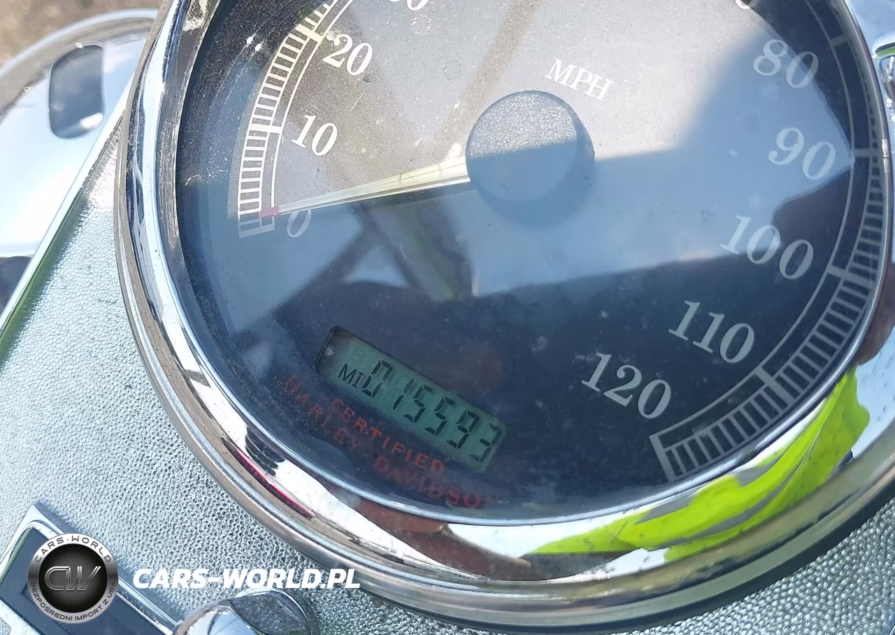 2005 Harley-Davidson Flhrci VIN:1HD1FRW155Y648268 - 7