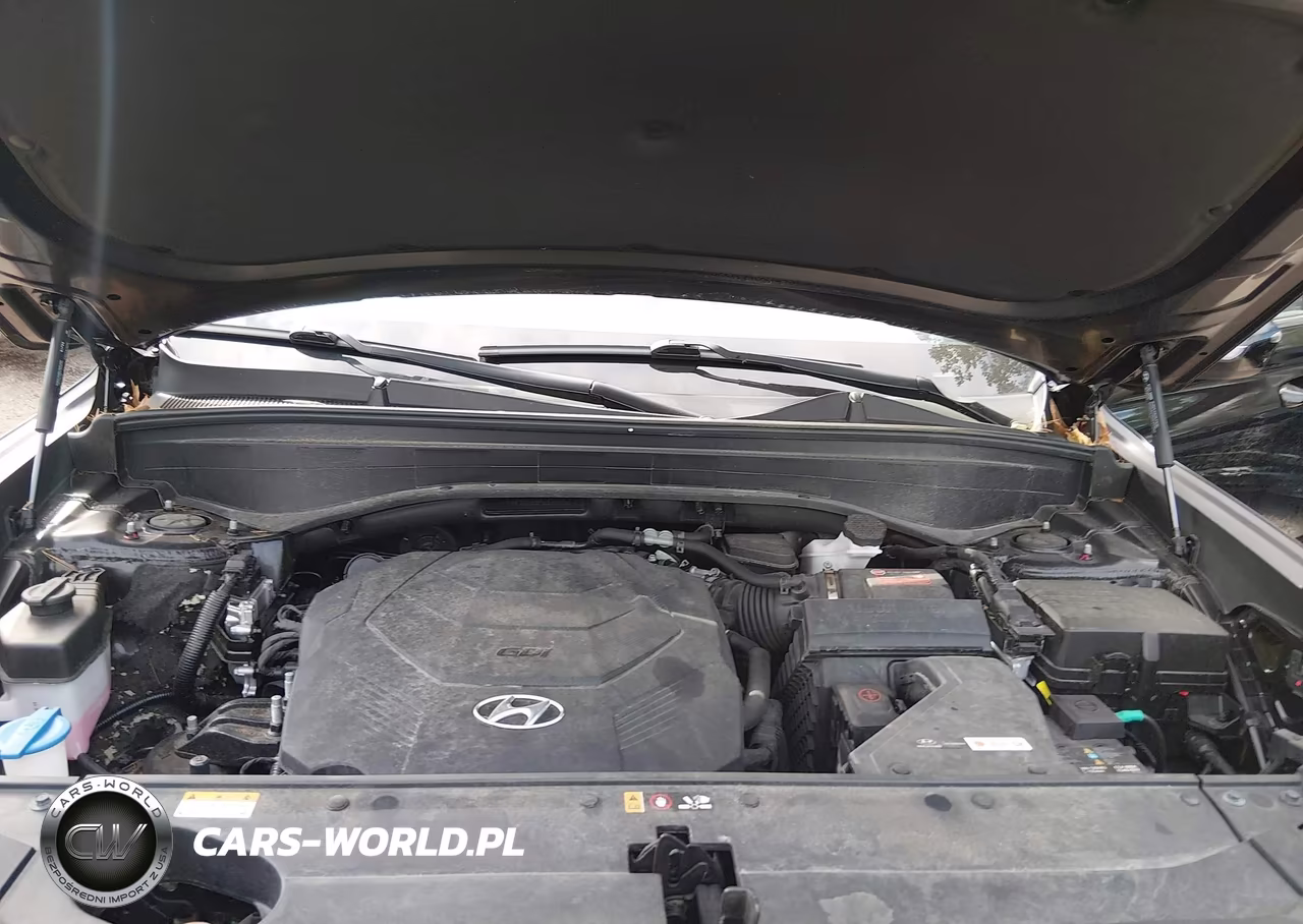 2023 Hyundai Palisade Xrt VIN:KM8R3DGE0PU549199 - 10