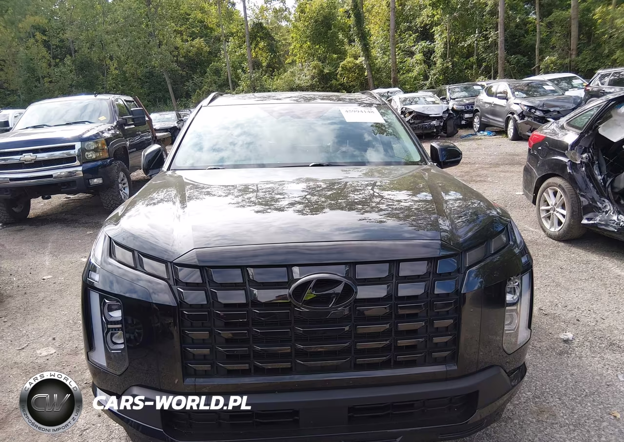 2023 Hyundai Palisade Xrt VIN:KM8R3DGE0PU549199 - 13