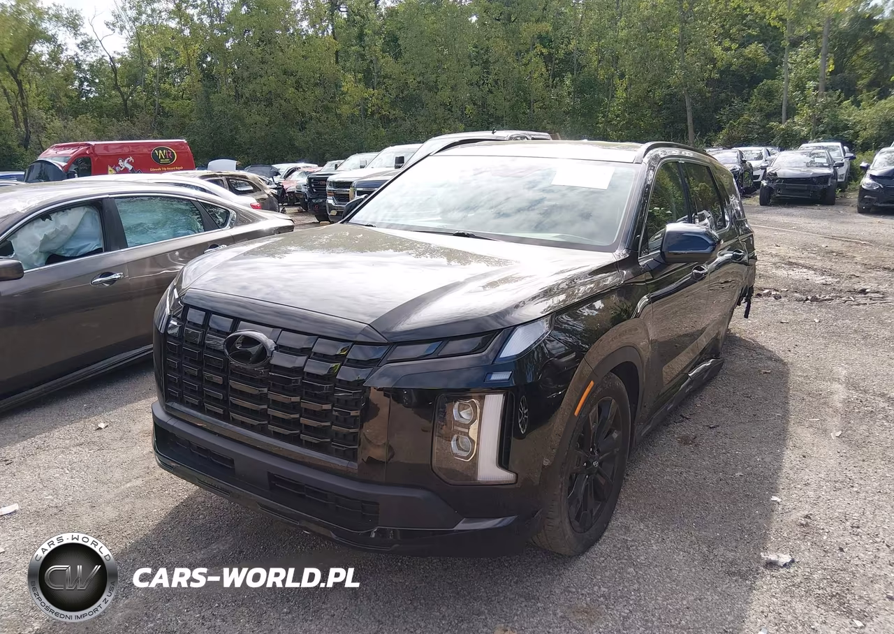 2023 Hyundai Palisade Xrt VIN:KM8R3DGE0PU549199 - 2