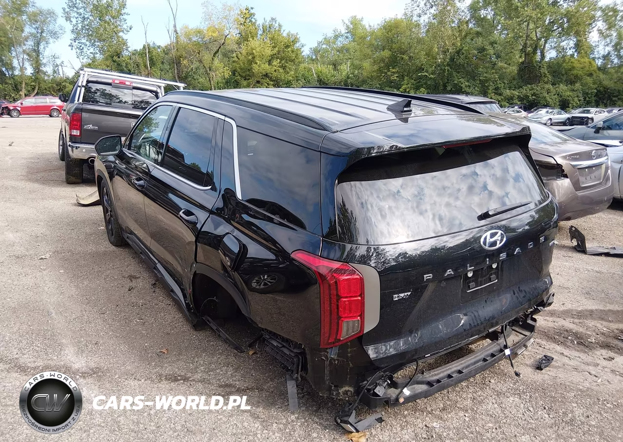 2023 Hyundai Palisade Xrt VIN:KM8R3DGE0PU549199 - 3