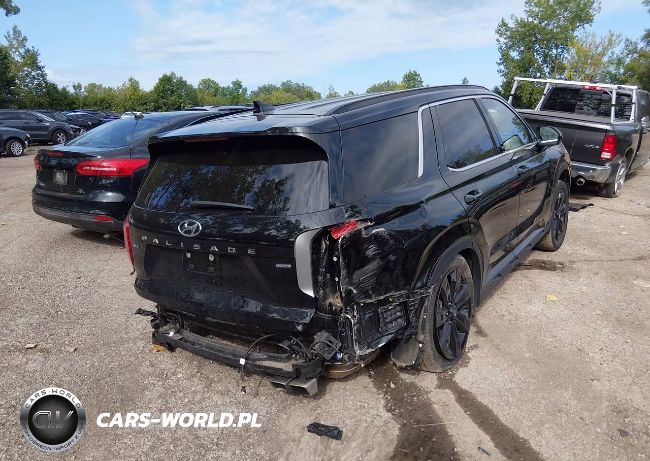 2023 Hyundai Palisade Xrt VIN:KM8R3DGE0PU549199 - 4