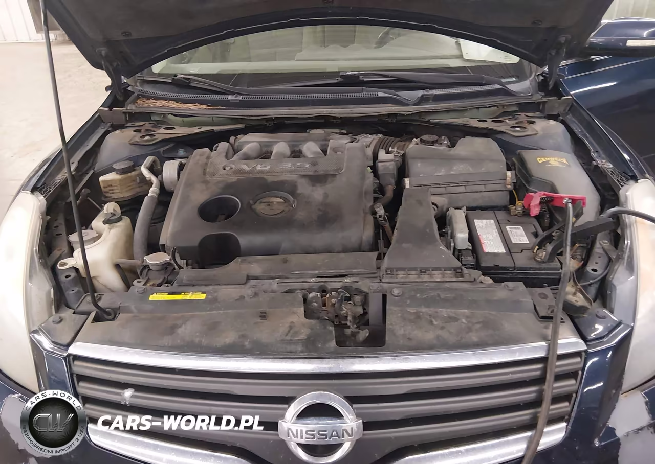 2008 Nissan Altima 3.5 Se VIN:1N4BL21E48N456688 - 10