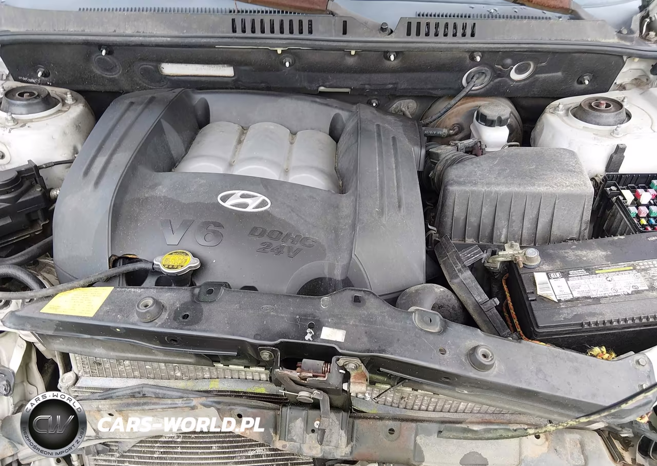 2004 Hyundai Santa Fe Gls VIN:KM8SC13D44U772659 - 10