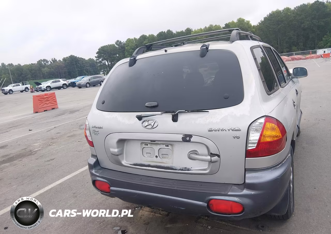 2004 Hyundai Santa Fe Gls VIN:KM8SC13D44U772659 - 17