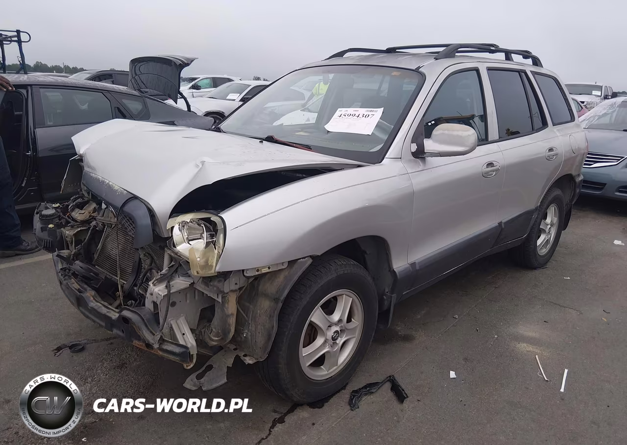 2004 Hyundai Santa Fe Gls VIN:KM8SC13D44U772659 - 2