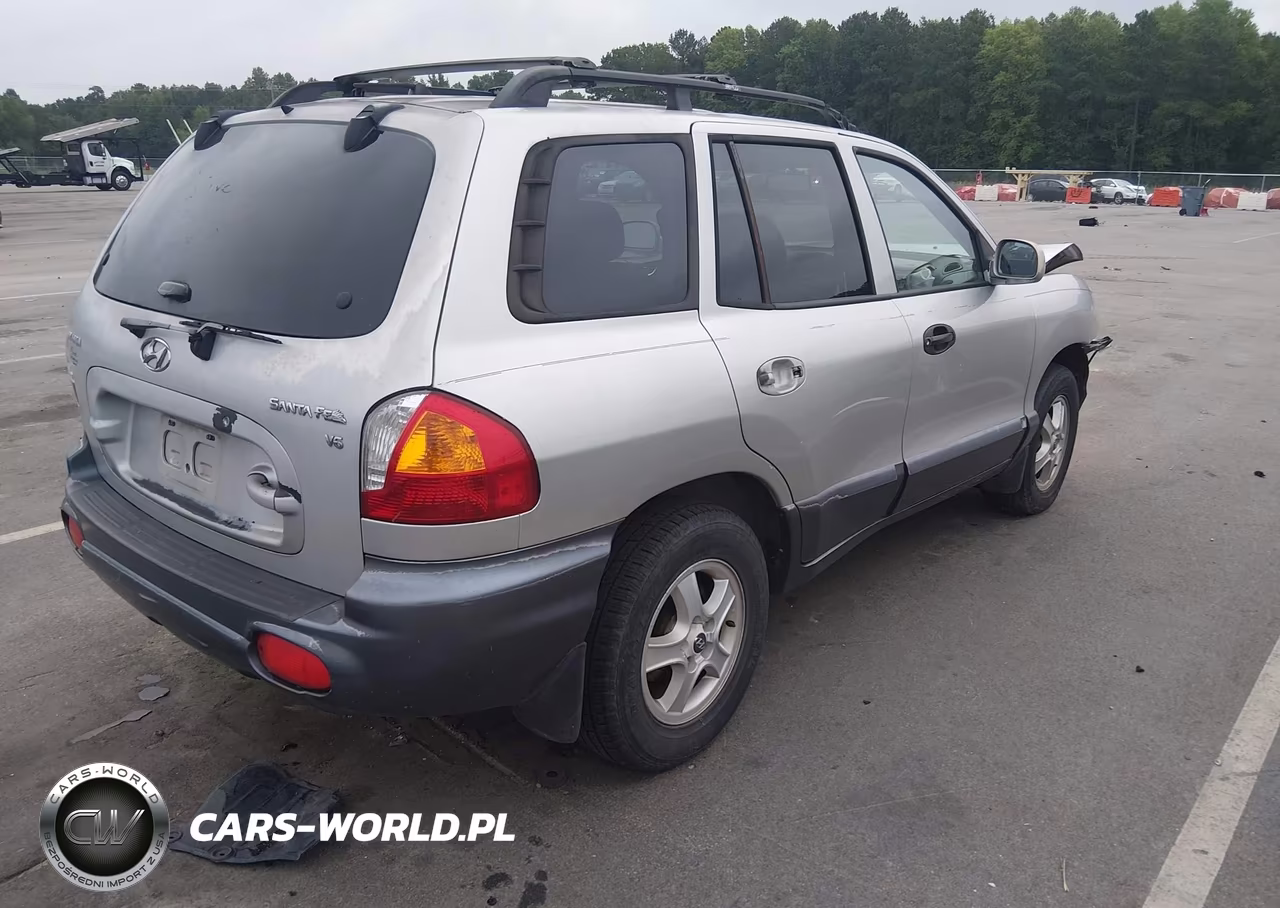 2004 Hyundai Santa Fe Gls VIN:KM8SC13D44U772659 - 4