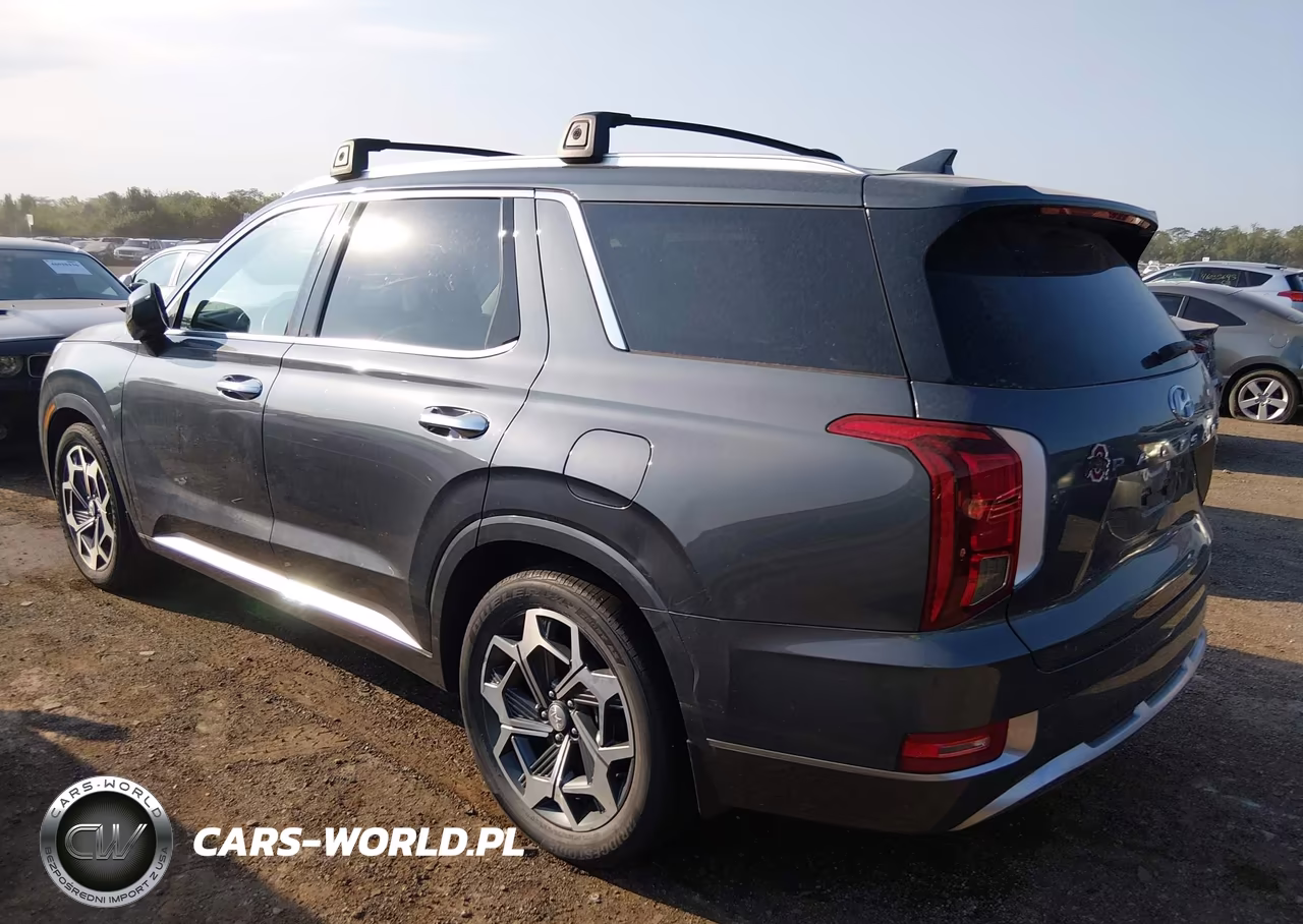 2021 Hyundai Palisade Calligraphy VIN:KM8R7DHE3MU272708 - 3