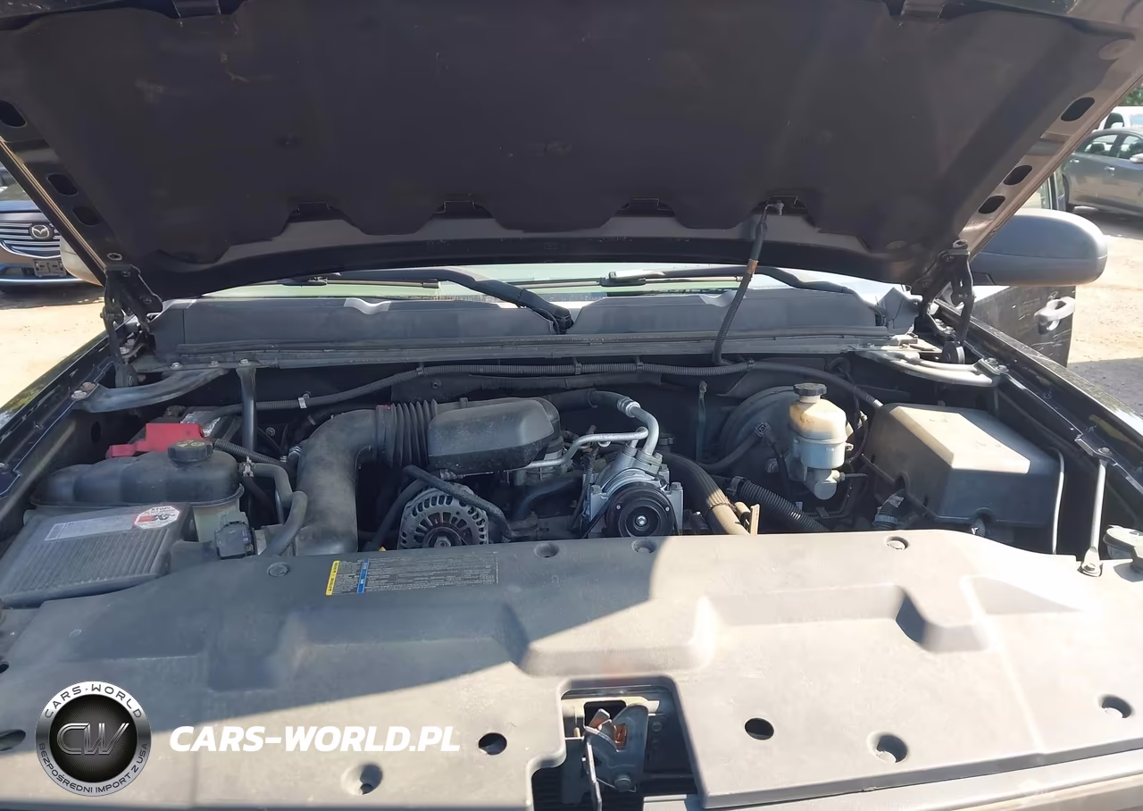 2010 Chevrolet Silverado 1500 Work Truck VIN:1GCSCPEX9AZ123436 - 10