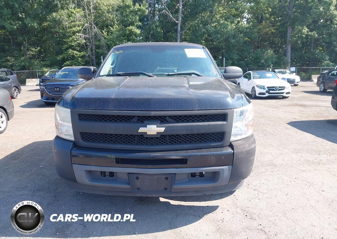 2010 Chevrolet Silverado 1500 Work Truck VIN:1GCSCPEX9AZ123436 - 12